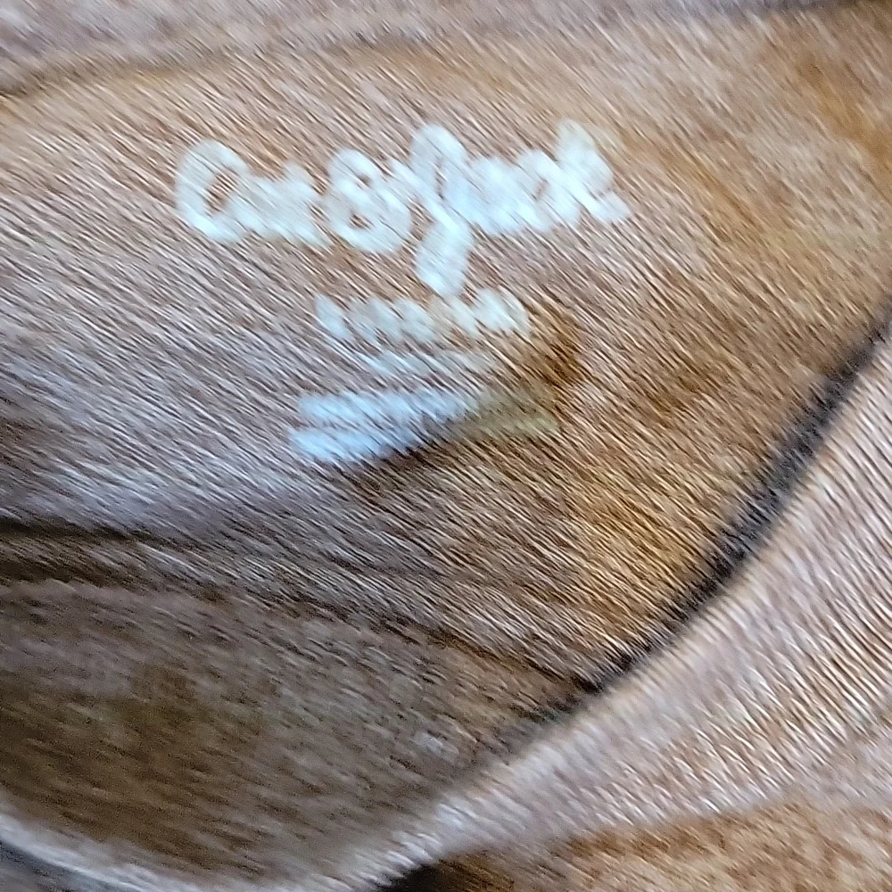 🌻 4 for$15 🌻 Cat and Jack truck shirt - Picture 2 of 2